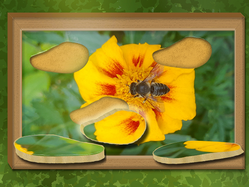 Find & Restore: Hidden Puzzle